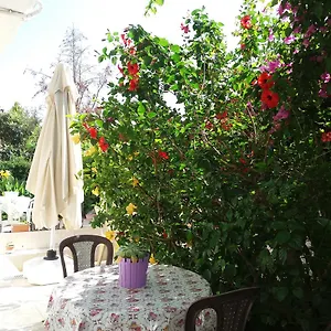uygunluğu kontrol et